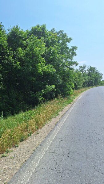 Butimanu Teren Intravilan Utilitati OFERTA