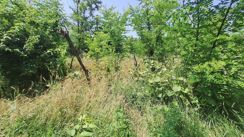 Butimanu Teren Intravilan Utilitati OFERTA