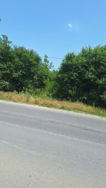 Butimanu Teren Intravilan Utilitati OFERTA